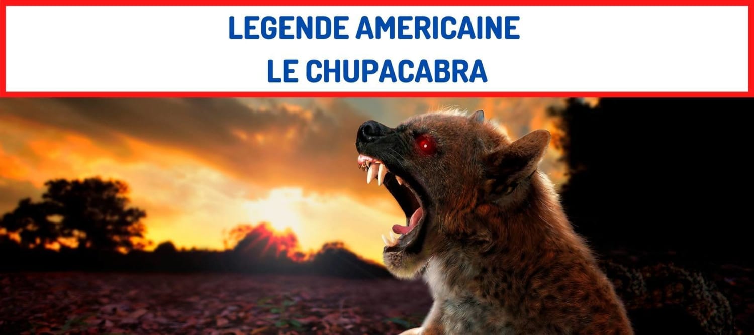 Legende Americaine Le Chupacabra