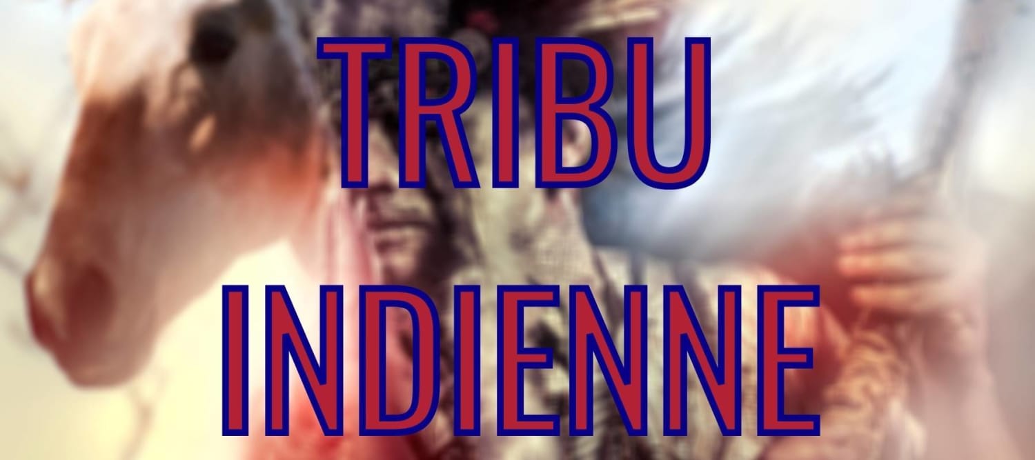 Американско индианско индианско племе в САЩ